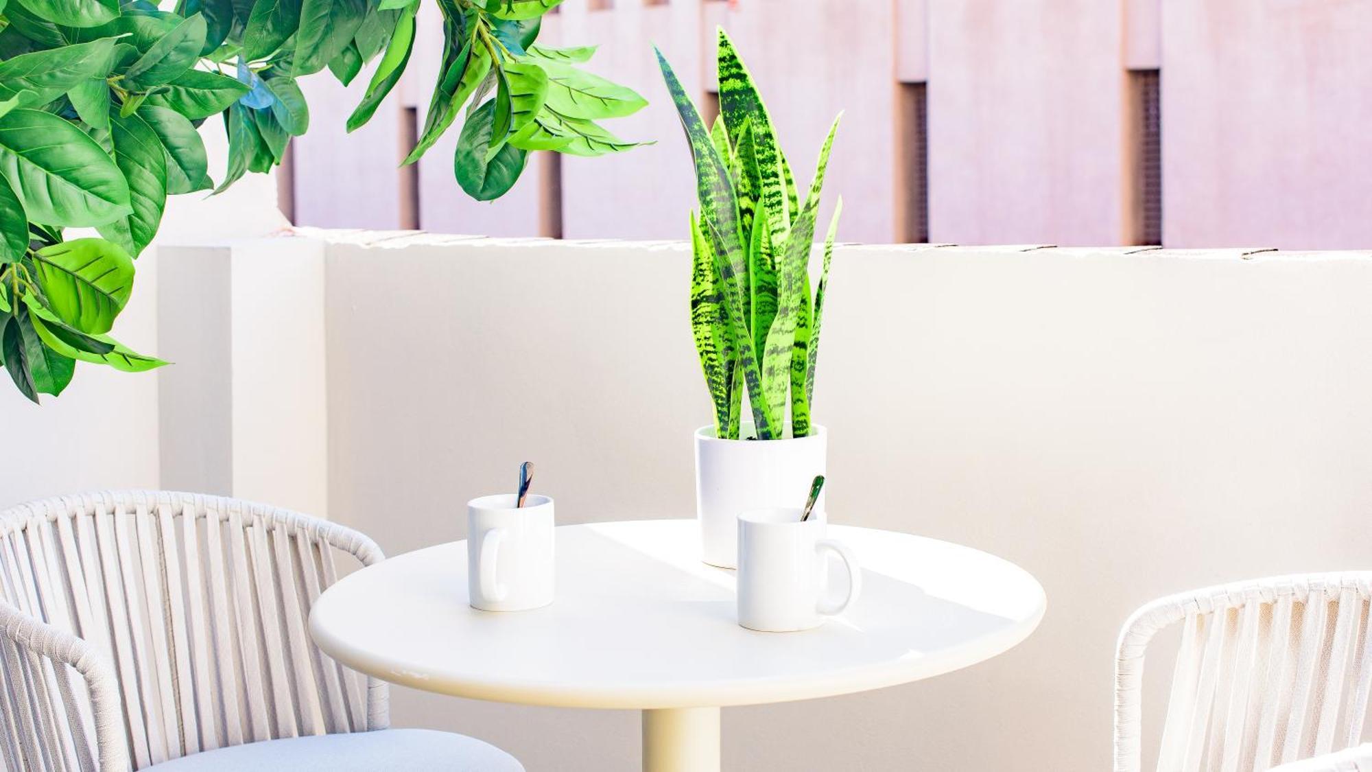 Myflats Premier Suites Alicante Dış mekan fotoğraf